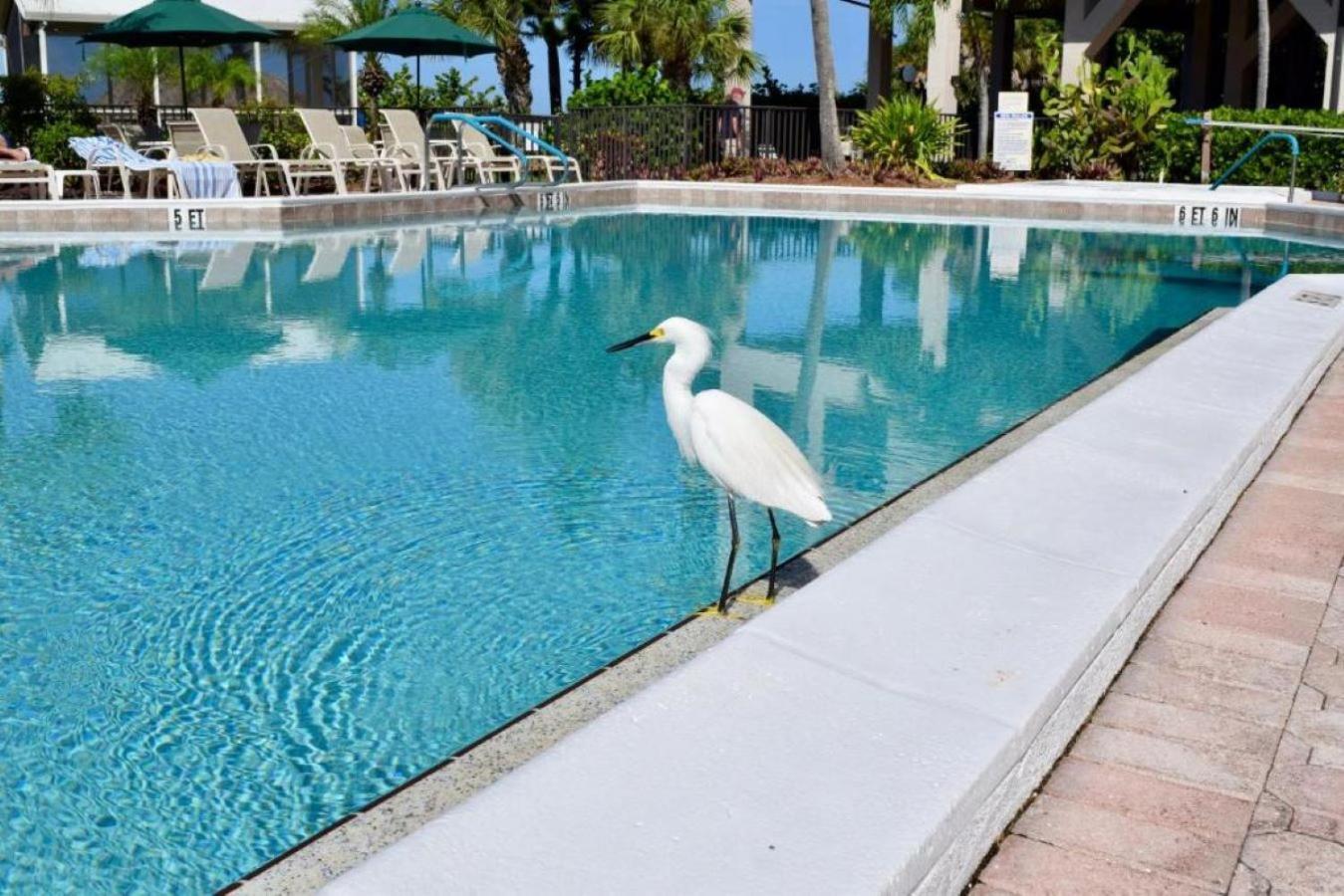 Caribbean Beach Club Fort Myers Beach Extérieur photo